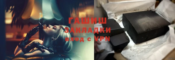 гашик Алексин