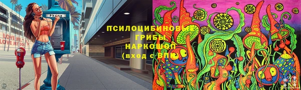 гашик Алексин