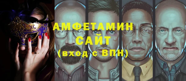 гашик Алексин